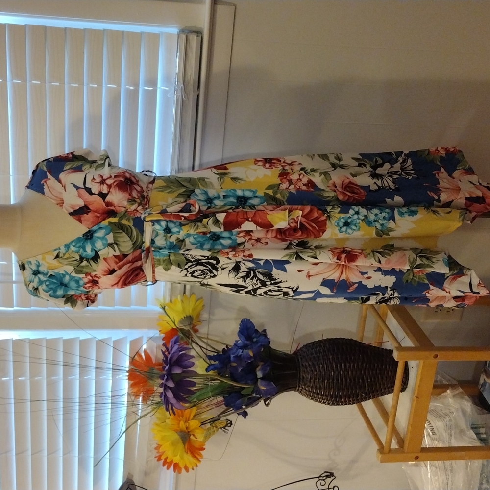 Hello MIZ Multi-Colored Beautiful Dress.